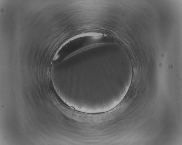 X0000067870048200605111810