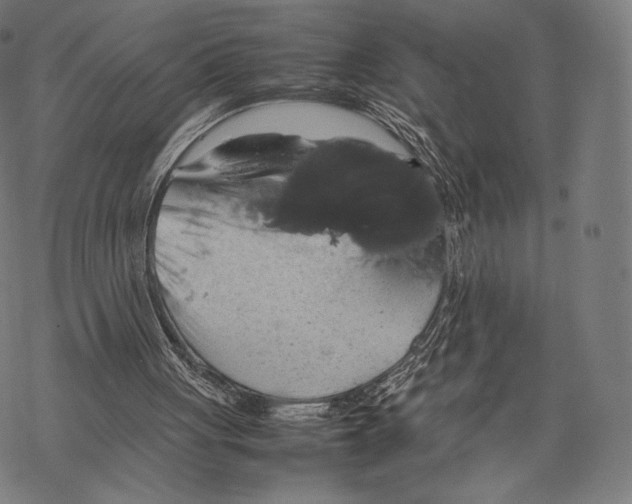 X0000067870051200605111810