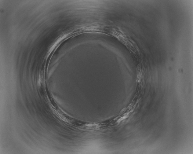 X0000067870052200605111810