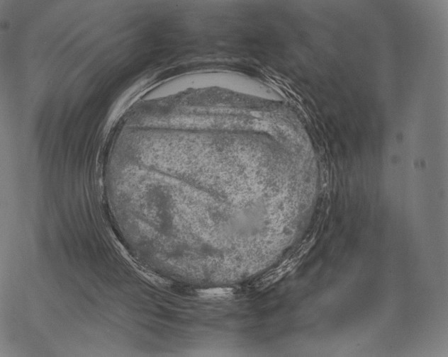 X0000067870053200605111810