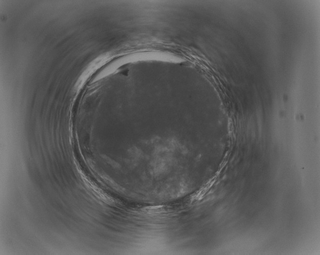 X0000067870054200605111810