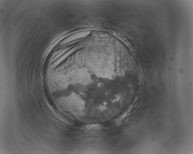 X0000067870055200605111810