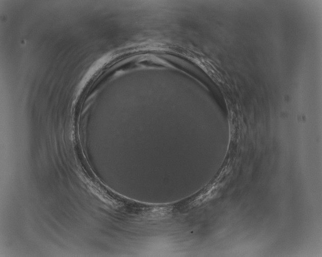 X0000067870056200605111810