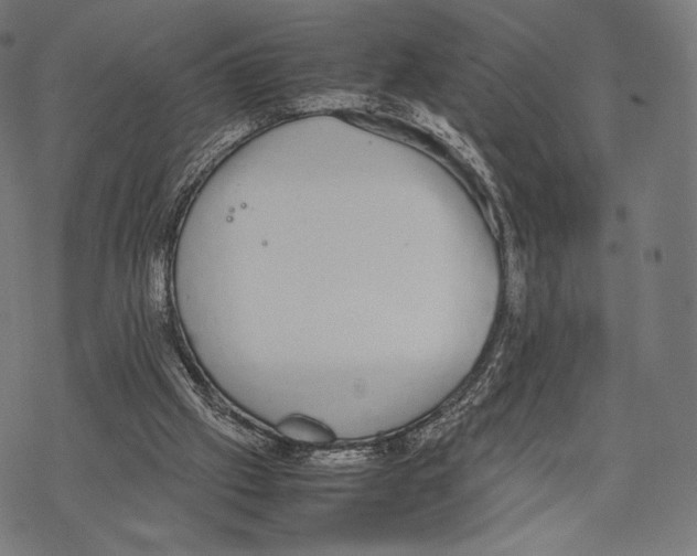 X0000067870057200605111810