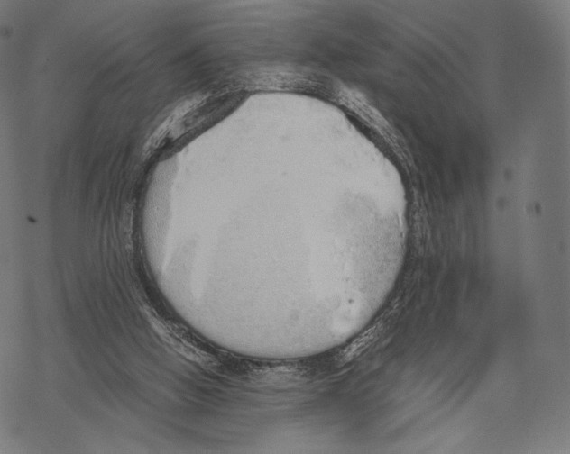 X0000067870058200605111810