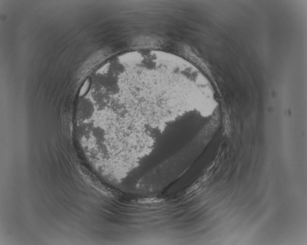 X0000067870059200605111810