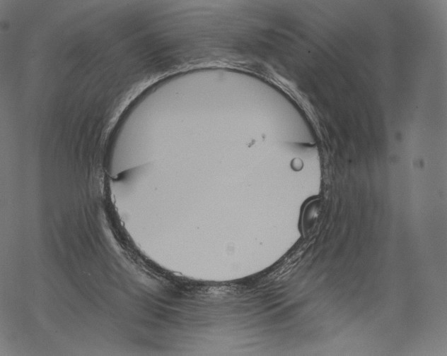 X0000067870060200605111810