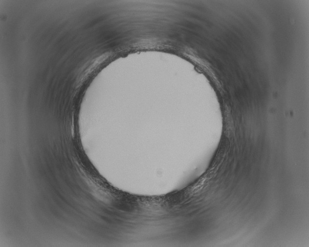 X0000067870062200605111810