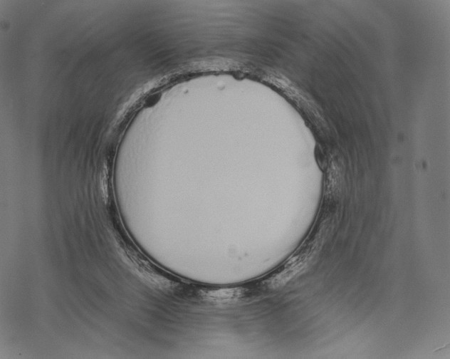 X0000067870064200605111810