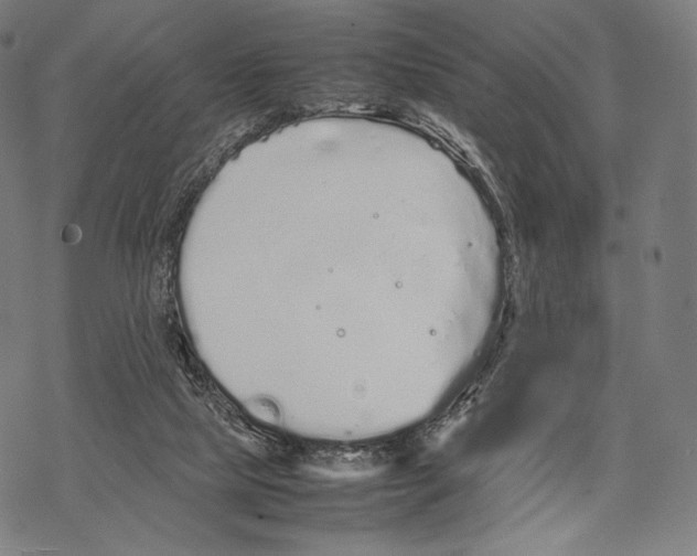 X0000067870065200605111810