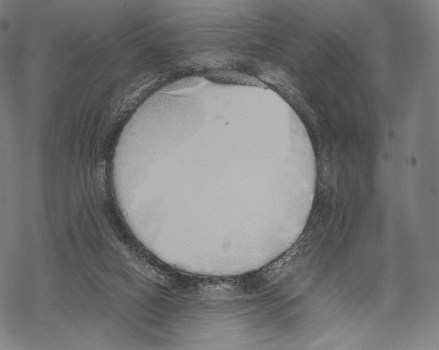 X0000067870066200605111810