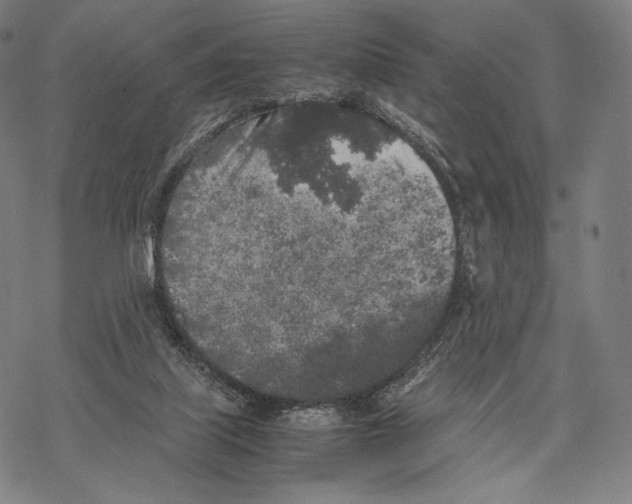 X0000067870067200605111810