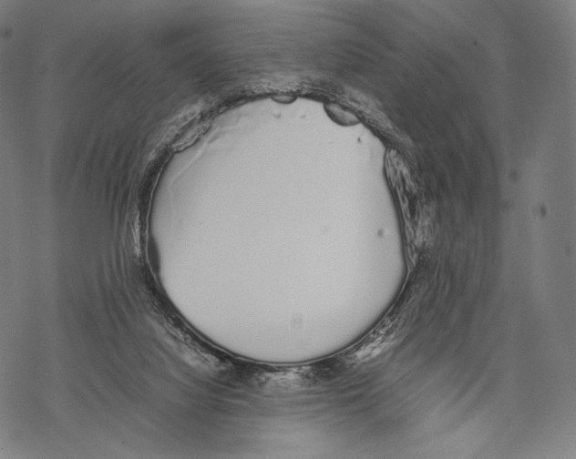 X0000067870068200605111810