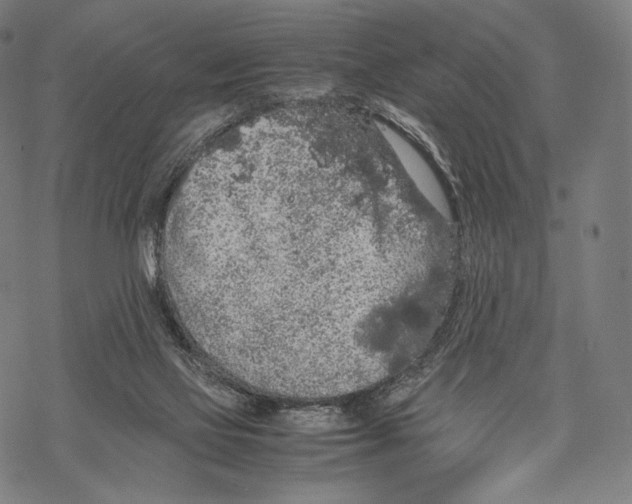 X0000067870069200605111810