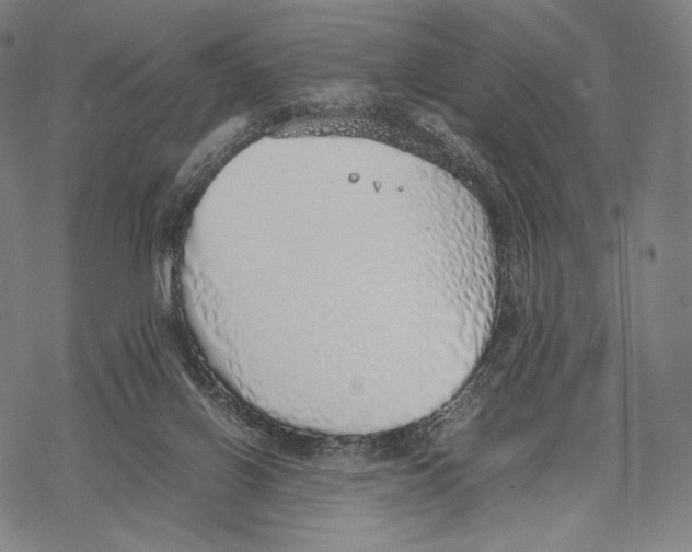 X0000067870070200605111810