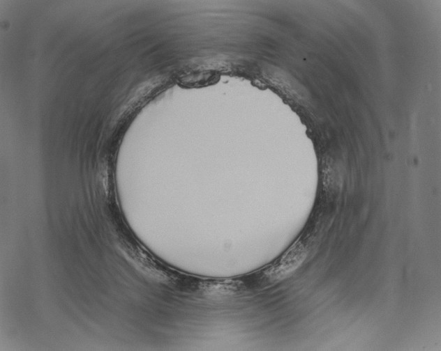 X0000067870072200605111810