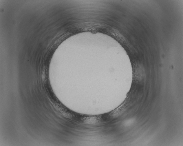 X0000067870074200605111810