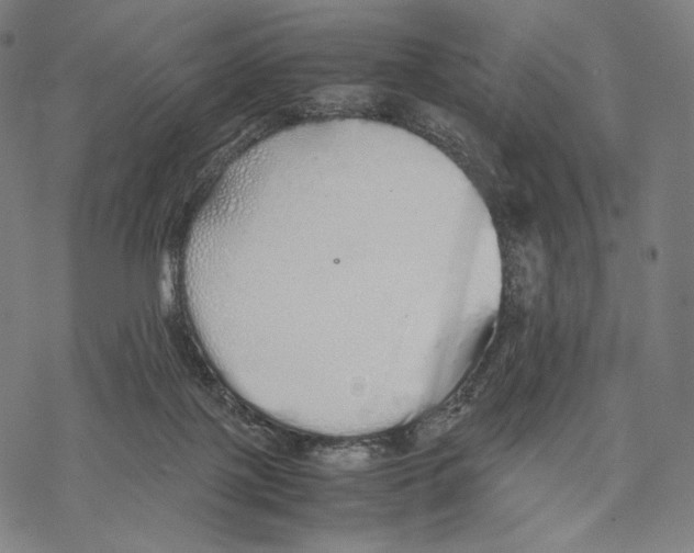 X0000067870075200605111810