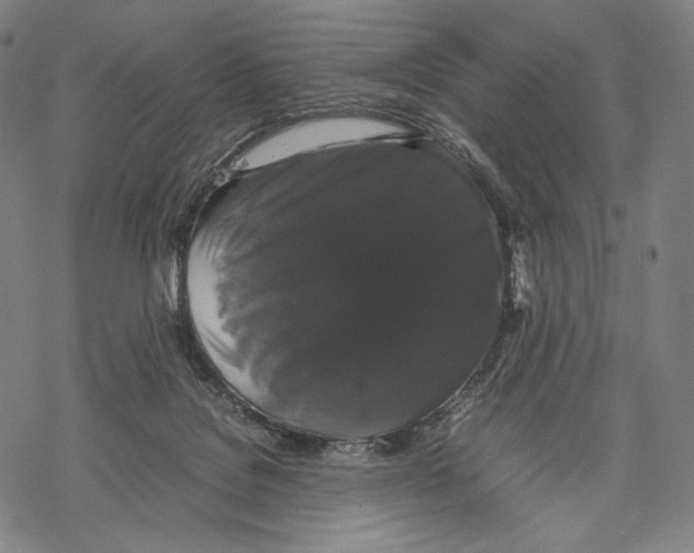 X0000067870076200605111810