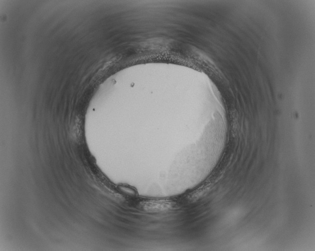 X0000067870077200605111810