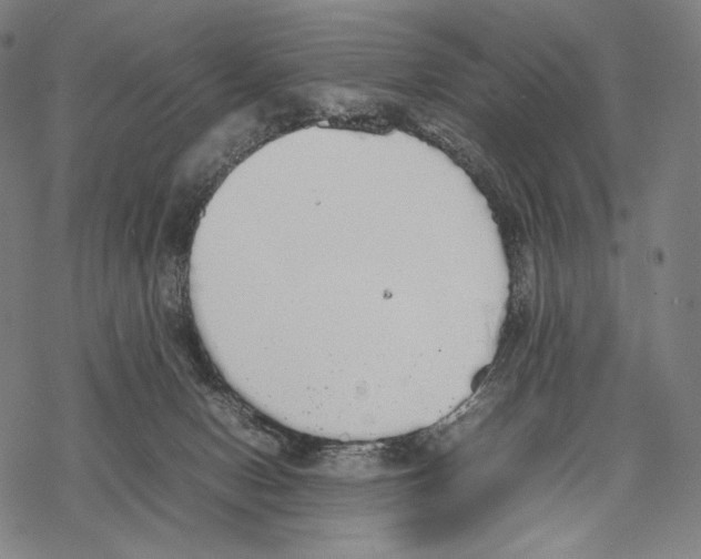 X0000067870078200605111810