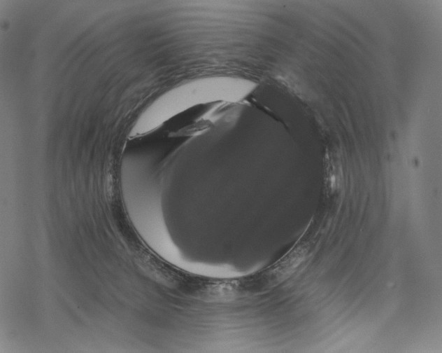 X0000067870080200605111810