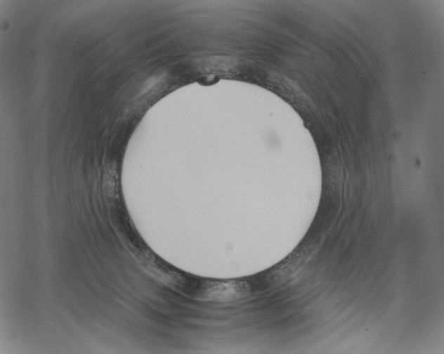 X0000067870083200605111810