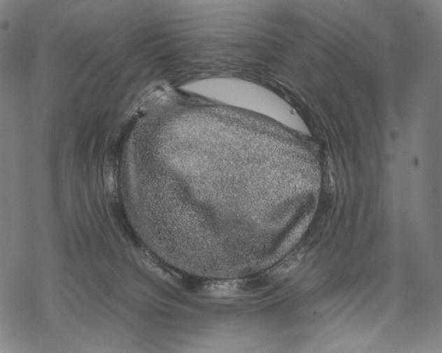 X0000067870084200605111810