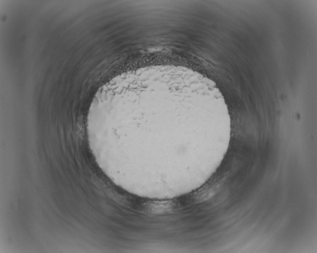 X0000067870085200605111810