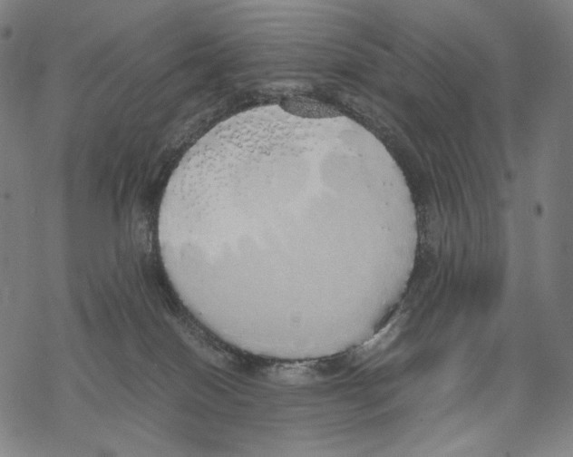 X0000067870086200605111810