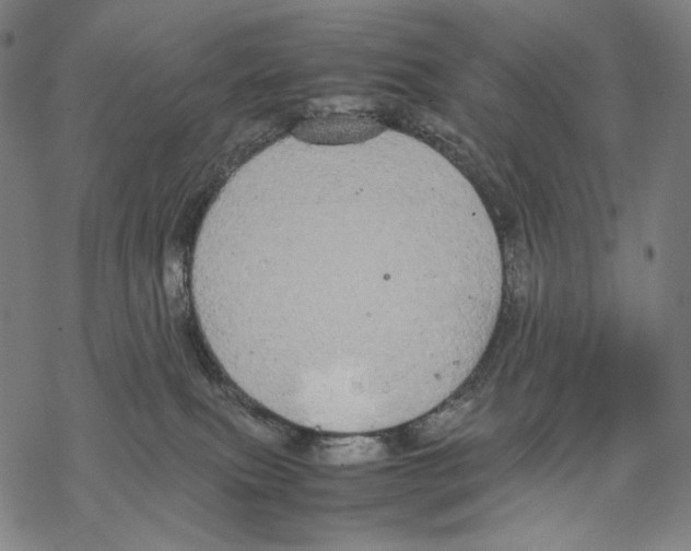 X0000067870087200605111810