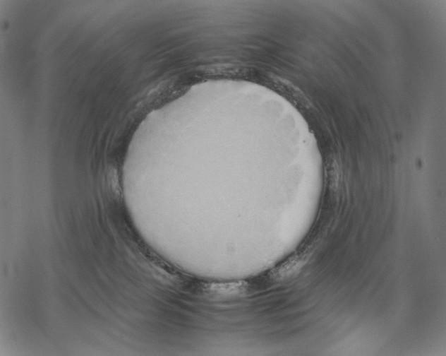 X0000067870089200605111810