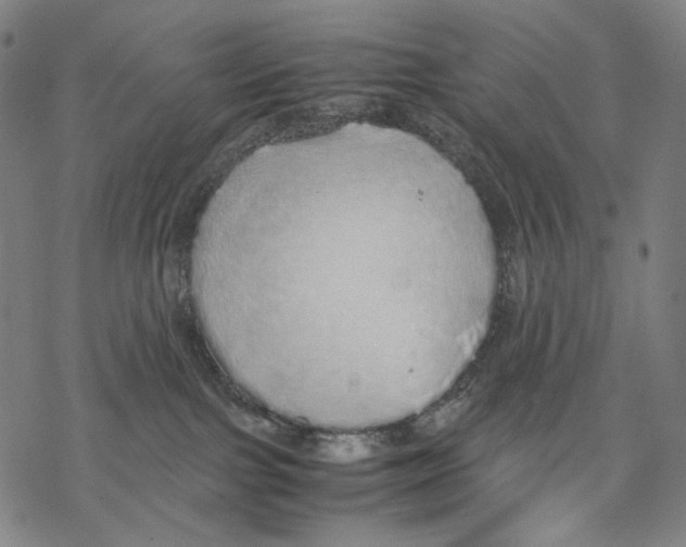 X0000067870091200605111810