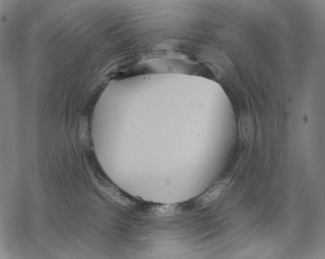 X0000067870092200605111810