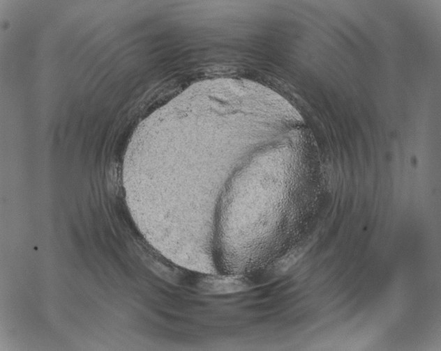 X0000067870093200605111810