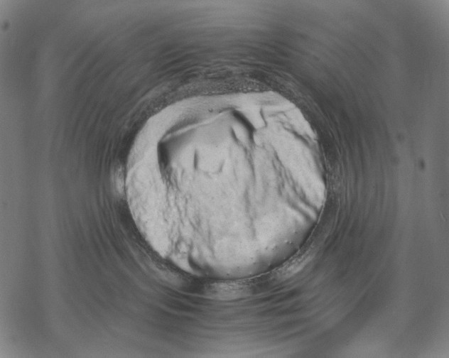 X0000067870095200605111810