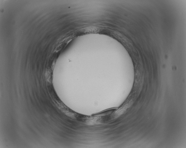 X0000067870096200605111810