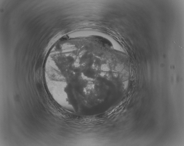 X0000067870099200605111810