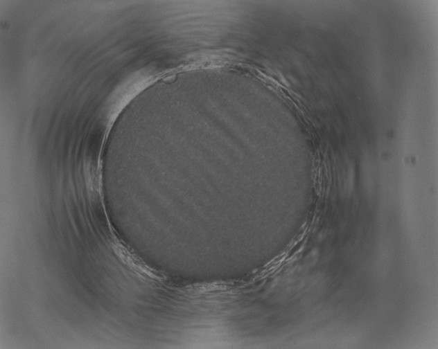 X0000067870100200605111810