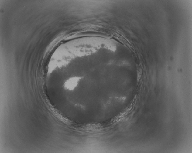 X0000067870101200605111810