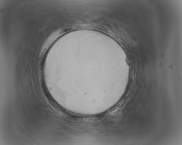 X0000067870103200605111810