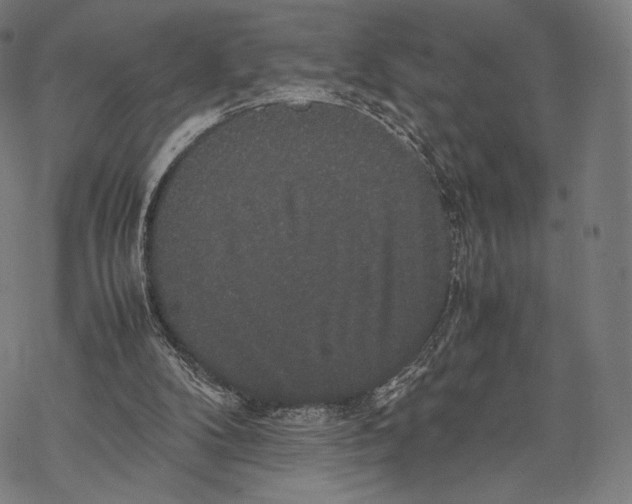 X0000067870104200605111809