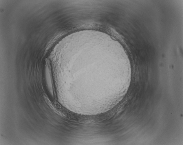 X0000067870106200605111809