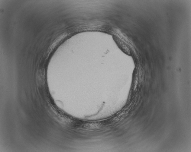 X0000067870107200605111809