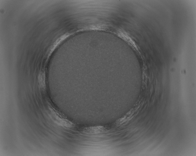 X0000067870108200605111809