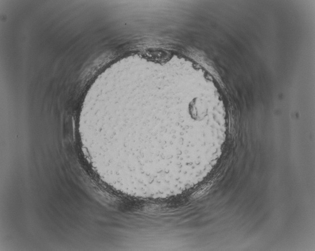 X0000067870109200605111809