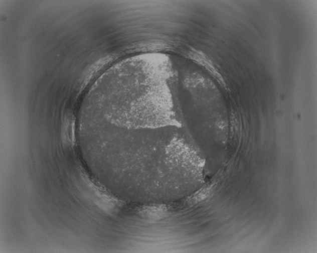 X0000067870110200605111809