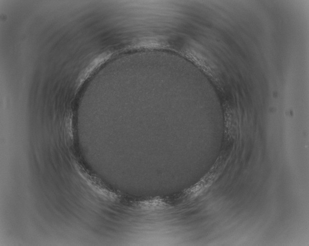 X0000067870112200605111809