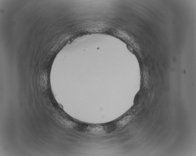 X0000067870113200605111809