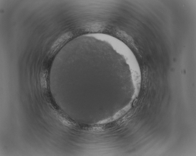 X0000067870114200605111809